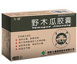 45g*36粒 功能主治:祛风止痛,舒筋活络.