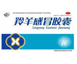 2012121414190243.jpg